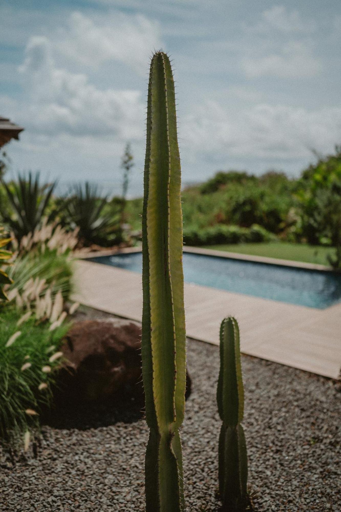 Villa Manika Vue Mer Le Moule Luaran gambar